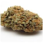 Шишки AK47 (Гидропоника, Бошка) VHQ в Чайковском Шишки AK47 (Гидропоника, Бошка) VHQ в Чайковском